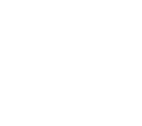 zeal consultant logo 3